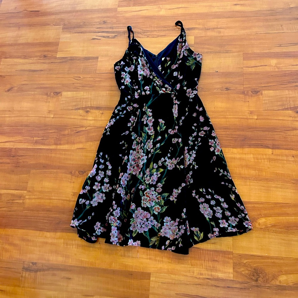 BNWOT Velvet Cherry Blossom Dress